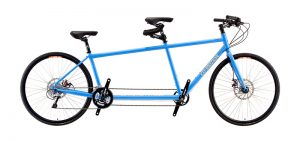 Co-Motion Bluebird