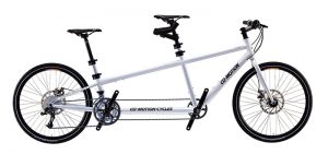 Co-Motion Scout