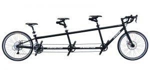 Co-Motion Trident